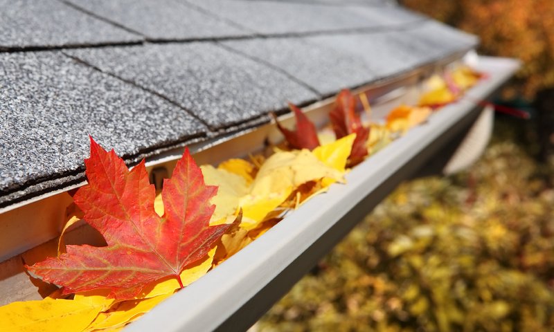 Обои листья, макро, осень, крыша, клен, кленовый лист, leaves, macro, autumn, roof, maple, maple leaf разрешение 3840x2400 Загрузить