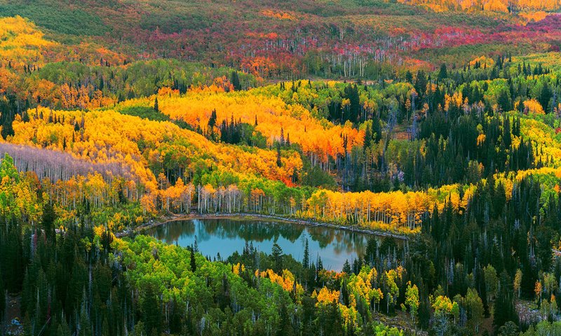 Обои деревья, озеро, природа, лес, осень, trees, lake, nature, forest, autumn разрешение 1920x1200 Загрузить