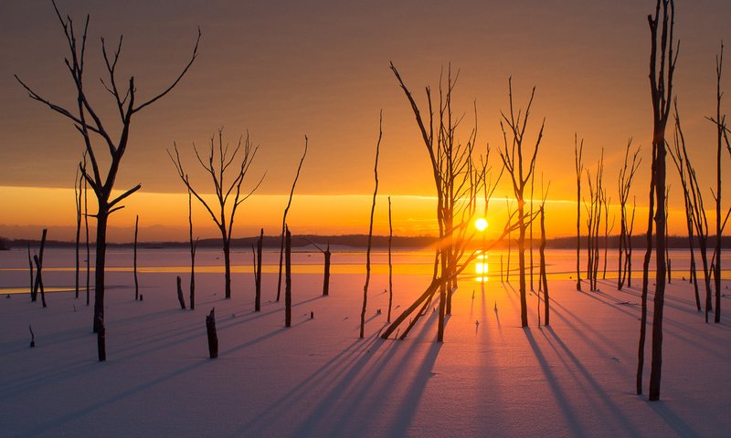 Обои деревья, солнце, снег, закат, зима, пейзаж, trees, the sun, snow, sunset, winter, landscape разрешение 1920x1200 Загрузить