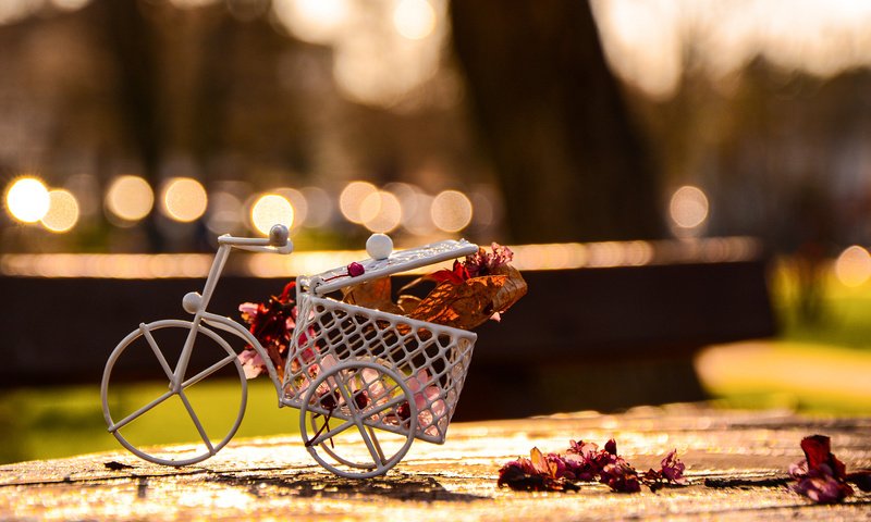 Обои цветы, лепестки, велосипед, фигурка, сувенир, flowers, petals, bike, figure, souvenir разрешение 1920x1200 Загрузить