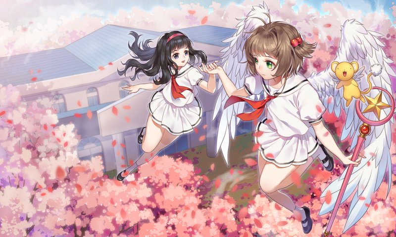 Обои летающие, cherry blossom, летны, крылышки, kinomoto sakura, blossom, anime girls, cardcaptor sakura, daidouji tomoyo, flying, flight, wings разрешение 2250x1405 Загрузить