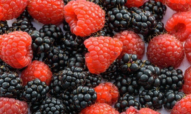 Обои макро, малина, ягоды, ежевика, macro, raspberry, berries, blackberry разрешение 3840x2160 Загрузить