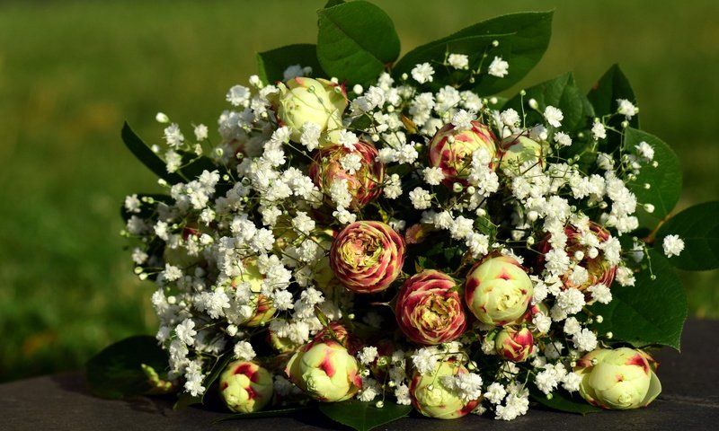 Обои цветы, листья, букет, ранункулюс, лютик, гипсофила, flowers, leaves, bouquet, ranunculus, buttercup, gypsophila разрешение 5992x3808 Загрузить