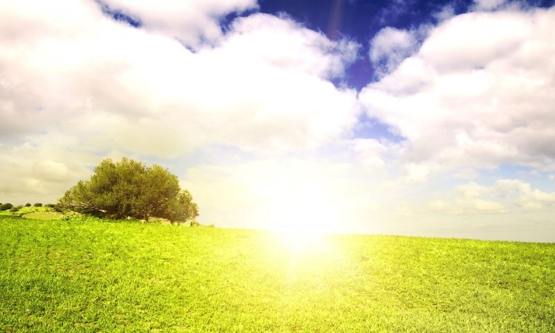 Обои небо, трава, облака, природа, дерево, пейзаж, лето, солнечный свет, the sky, grass, clouds, nature, tree, landscape, summer, sunlight разрешение 3840x2160 Загрузить
