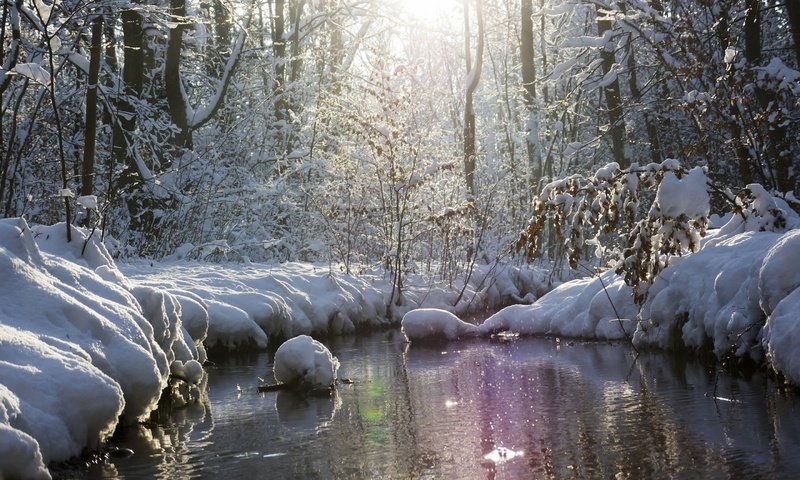 Обои река, природа, лес, зима, river, nature, forest, winter разрешение 2880x1800 Загрузить