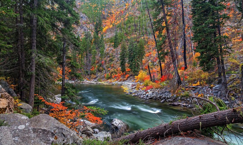 Обои река, природа, лес, осень, river, nature, forest, autumn разрешение 1920x1200 Загрузить