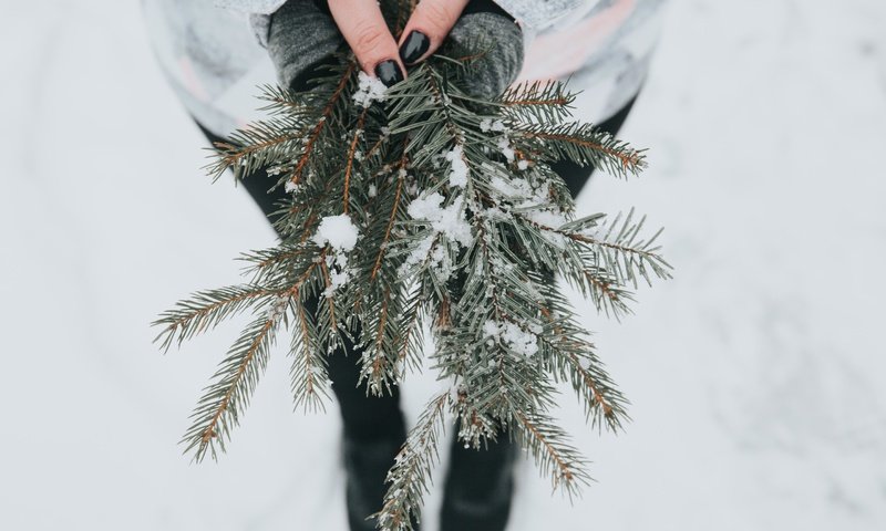 Обои снег, хвоя, девушка, ветки, модель, руки, snow, needles, girl, branches, model, hands разрешение 5760x3840 Загрузить