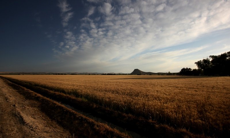 Обои небо, облака, поле, горизонт, пшеница, нива, the sky, clouds, field, horizon, wheat, niva разрешение 3840x2160 Загрузить