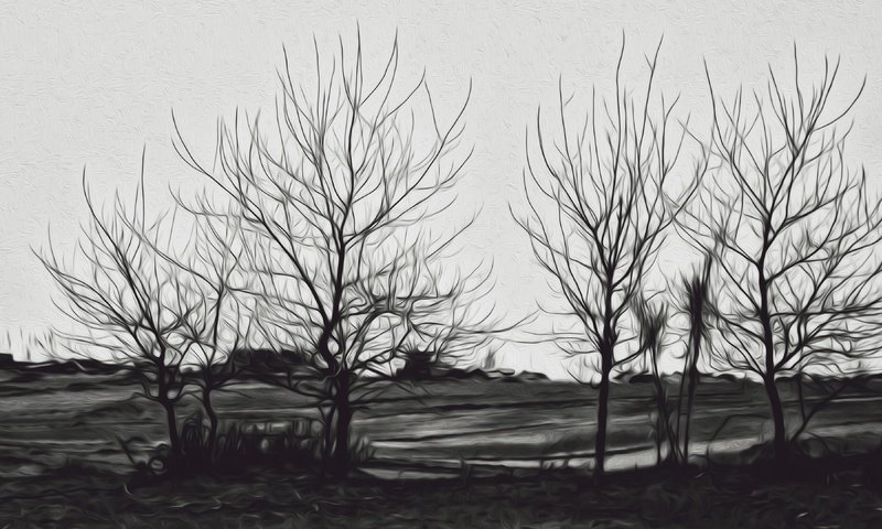Обои деревья, пейзаж, чёрно-белое, силуэты, trees, landscape, black and white, silhouettes разрешение 3840x2160 Загрузить