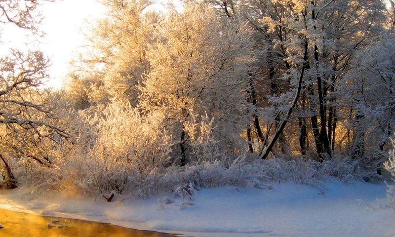 Обои свет, река, лес, зима, отражение, иней, оранжевый, седина, light, river, forest, winter, reflection, frost, orange, gray разрешение 3840x1200 Загрузить
