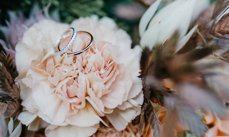 Обои цветок, кольцо, свадьба, обручальные кольца, боке, flower, ring, wedding, engagement rings, bokeh разрешение 4850x2728 Загрузить