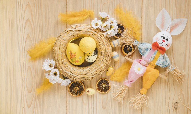 Обои игрушка, кролик, пасха, яйца, праздник, гнездо, toy, rabbit, easter, eggs, holiday, socket разрешение 6000x4000 Загрузить