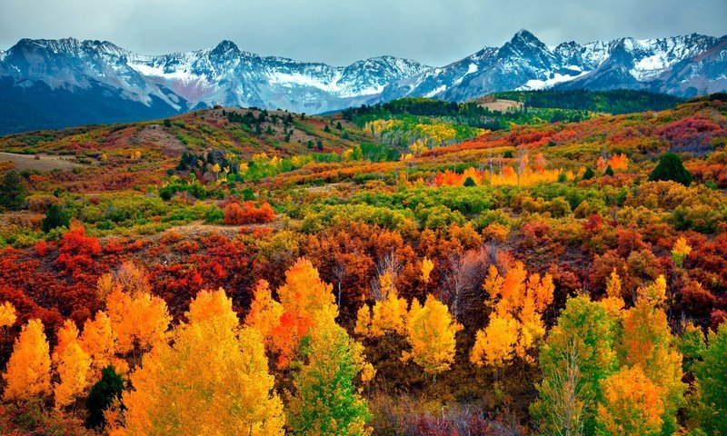 Обои небо, деревья, горы, снег, лес, осень, the sky, trees, mountains, snow, forest, autumn разрешение 3000x2000 Загрузить