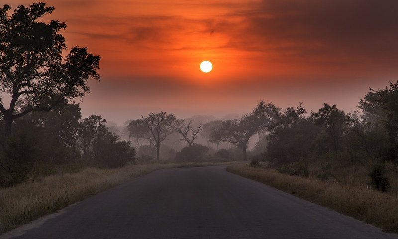 Обои дорога, облака, деревья, солнце, закат, пейзаж, туман, сумерки, road, clouds, trees, the sun, sunset, landscape, fog, twilight разрешение 2048x1118 Загрузить