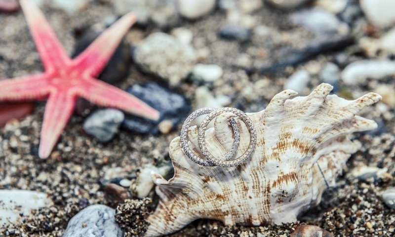 Обои камни, украшения, песок, кольца, ракушка, морская звезда, stones, decoration, sand, ring, shell, starfish разрешение 4990x3327 Загрузить