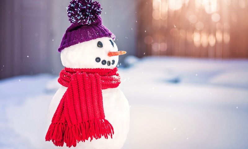 Обои снег, зима, снеговик, шарф, snow, winter, snowman, scarf разрешение 5600x3733 Загрузить
