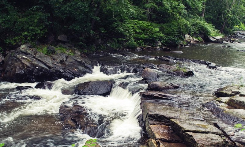 Обои река, скалы, камни, листва, river, rocks, stones, foliage разрешение 3840x2160 Загрузить