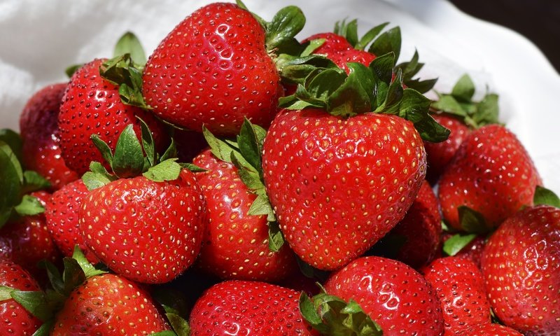 Обои клубника, ягоды, земляника, strawberry, berries, strawberries разрешение 5547x3962 Загрузить