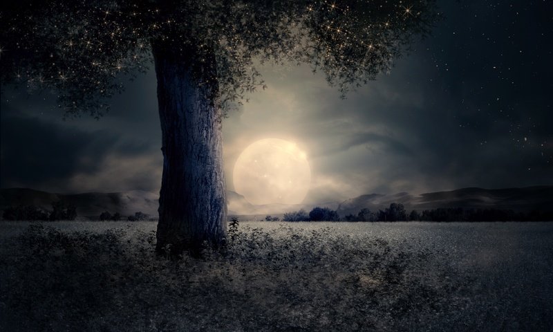 Обои ночь, дерево, пейзаж, луна, night, tree, landscape, the moon разрешение 4288x2848 Загрузить