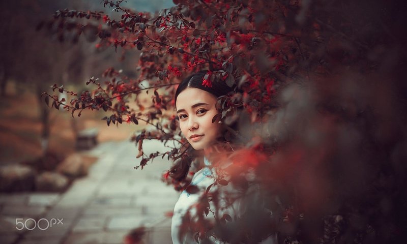 Обои девушка, ветки, взгляд, модель, волосы, лицо, азиатка, bxtong chan, girl, branches, look, model, hair, face, asian разрешение 2000x1334 Загрузить