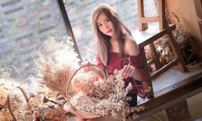 Обои девушка, взгляд, волосы, лицо, окно, азиатка, букеты, girl, look, hair, face, window, asian, bouquets разрешение 2048x1365 Загрузить