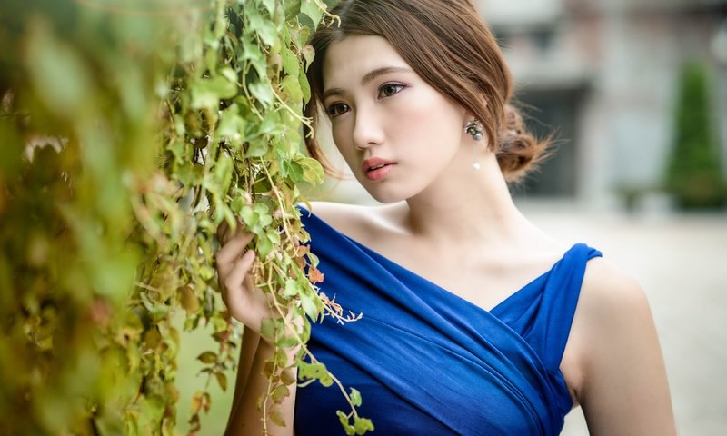 Обои девушка, взгляд, модель, волосы, лицо, азиатка, синее платье, chingcho chang, girl, look, model, hair, face, asian, blue dress разрешение 7952x5304 Загрузить