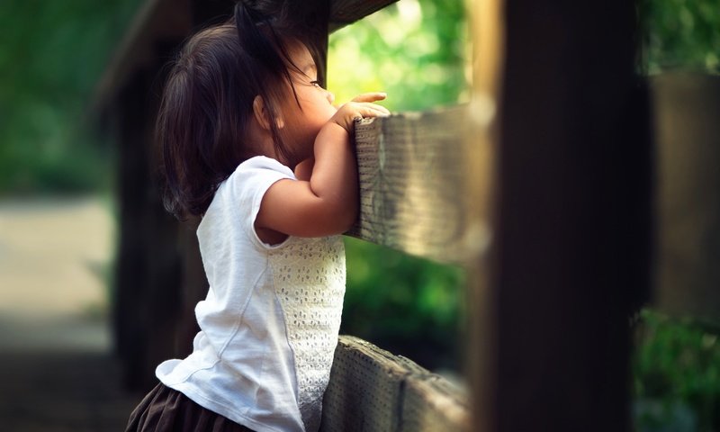 Обои забор, дети, девочка, ребенок, любопытство, боке, the fence, children, girl, child, curiosity, bokeh разрешение 2048x1454 Загрузить