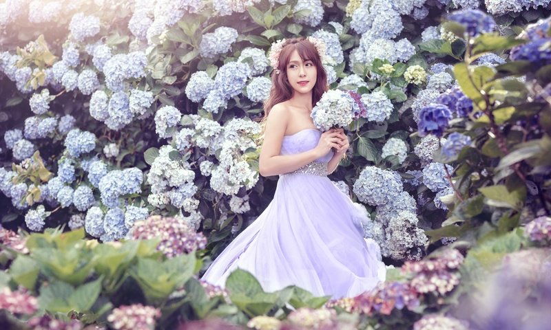 Обои цветы, девушка, платье, наряд, праздник, гортензия, flowers, girl, dress, outfit, holiday, hydrangea разрешение 2048x1367 Загрузить