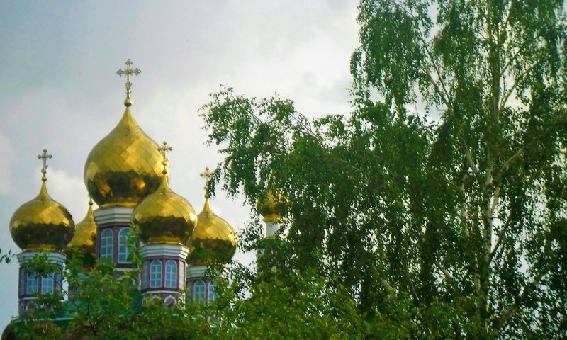 Обои дерево, храм, купола, tree, temple, dome разрешение 2560x1440 Загрузить