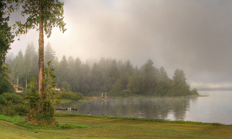 Обои деревья, озеро, река, природа, лес, туман, trees, lake, river, nature, forest, fog разрешение 3456x1936 Загрузить