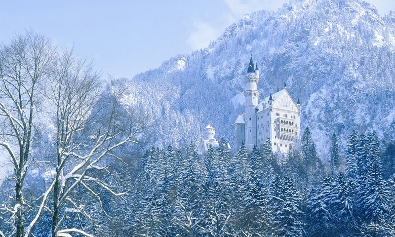 Обои деревья, горы, зима, замок, германия, нойшванштайн, trees, mountains, winter, castle, germany, neuschwanstein разрешение 1920x1080 Загрузить