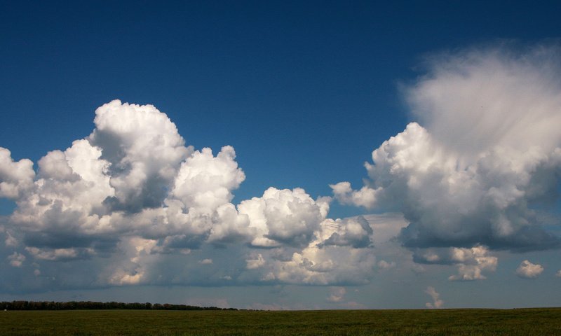 Обои небо, облака, поле, белый, голубой, ясное, the sky, clouds, field, white, blue, clear разрешение 1920x1080 Загрузить