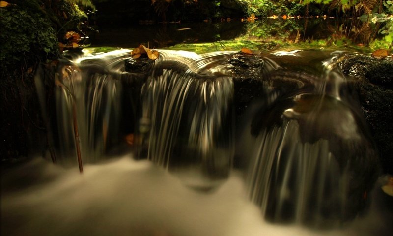 Обои вода, природа, лес, листья, поток, water, nature, forest, leaves, stream разрешение 1920x1200 Загрузить
