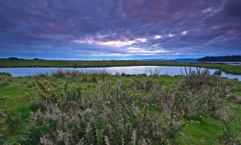 Обои облака, озеро, колючки, лейка, clouds, lake, barb разрешение 1920x1080 Загрузить