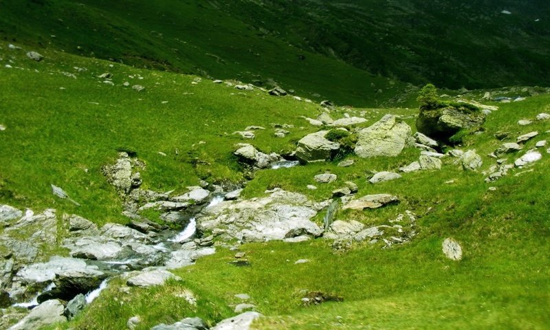 Обои трава, природа, камни, зелень, склон, 25, grass, nature, stones, greens, slope разрешение 1920x1080 Загрузить