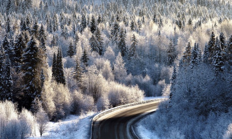 Обои дорога, лес, зима, иней, road, forest, winter, frost разрешение 2112x1188 Загрузить