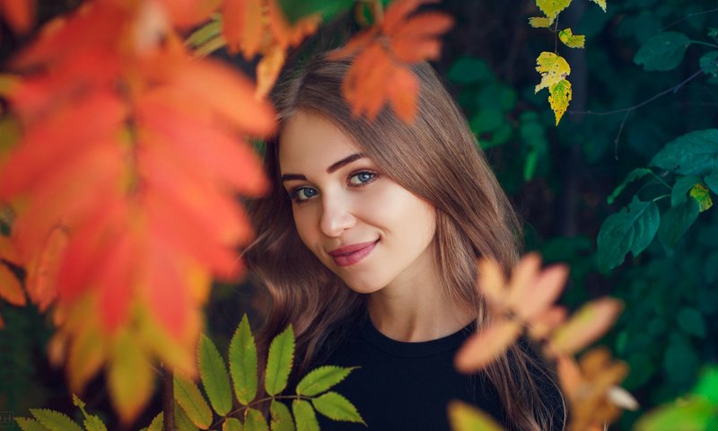 Обои листья, девушка, настроение, улыбка, взгляд, осень, лицо, leaves, girl, mood, smile, look, autumn, face разрешение 2112x1188 Загрузить