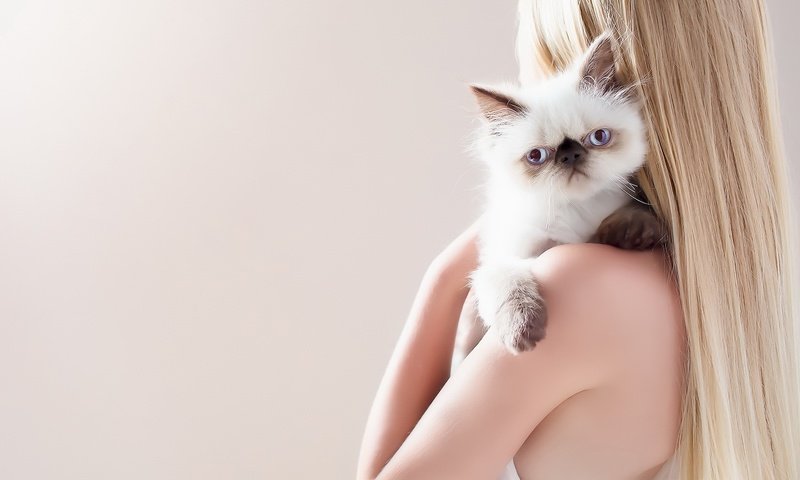 Обои девушка, фон, кошка, girl, background, cat разрешение 1920x1280 Загрузить