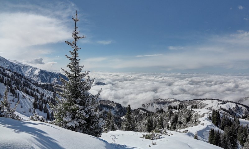 Обои горы, зима, mountains, winter разрешение 3318x2212 Загрузить