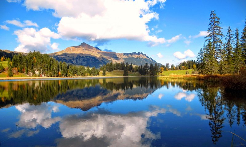 Обои озеро, горы, лес, lake, mountains, forest разрешение 2560x1600 Загрузить