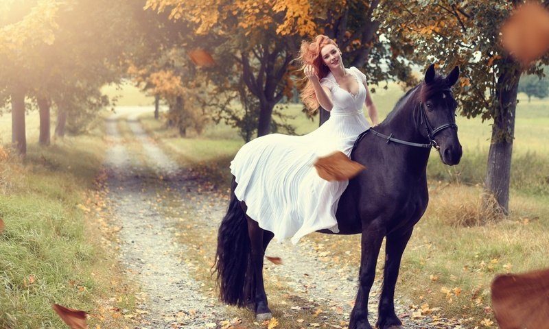 Обои девушка, верхом, на лошади, girl, top, horse разрешение 2560x1440 Загрузить