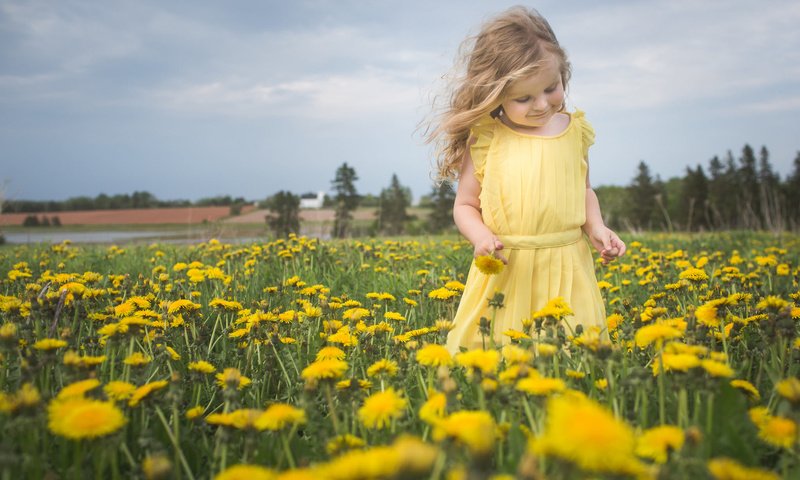 Обои цветы, природа, настроение, девочка, луг, одуванчики, flowers, nature, mood, girl, meadow, dandelions разрешение 2048x1288 Загрузить