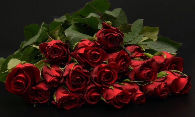 Обои бутоны, фон, букет, темный, красные розы, buds, background, bouquet, dark, red roses разрешение 1920x1280 Загрузить