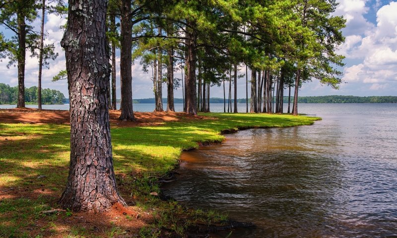 Обои небо, флорида, облака, west point lake, anderson park, деревья, озеро, солнце, лес, парк, сша, the sky, fl, clouds, trees, lake, the sun, forest, park, usa разрешение 2048x1366 Загрузить