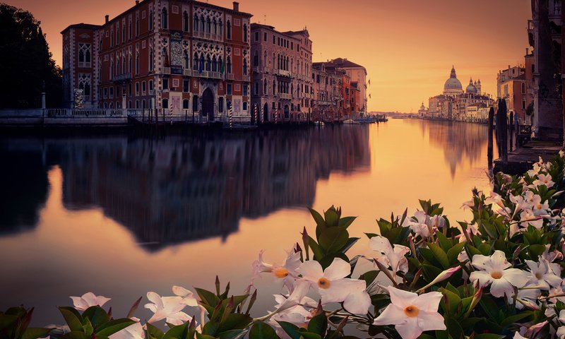 Обои цветы, город, венеция, venecia, flowers, the city, venice разрешение 2112x1188 Загрузить