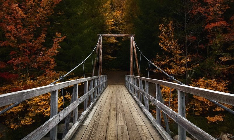 Обои река, природа, лес, мост, осень, river, nature, forest, bridge, autumn разрешение 2048x1365 Загрузить