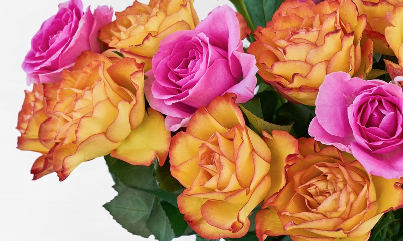 Обои фон, розы, белый, букет, окрас, background, roses, white, bouquet, color разрешение 2112x1188 Загрузить