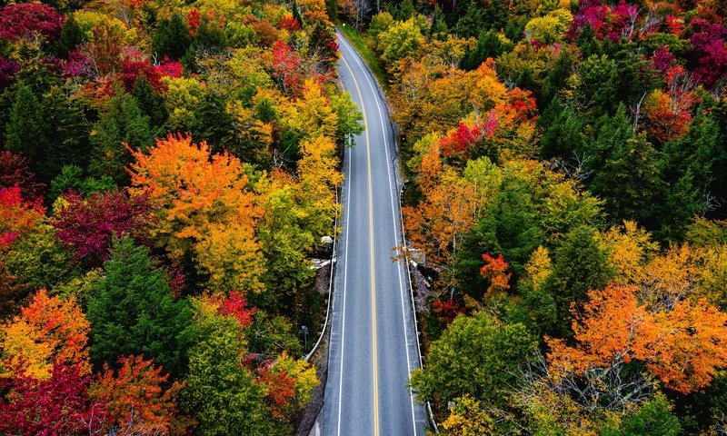 Обои дорога, деревья, лес, осень, вермонт, smugglers notch, road, trees, forest, autumn, vermont разрешение 2048x1280 Загрузить