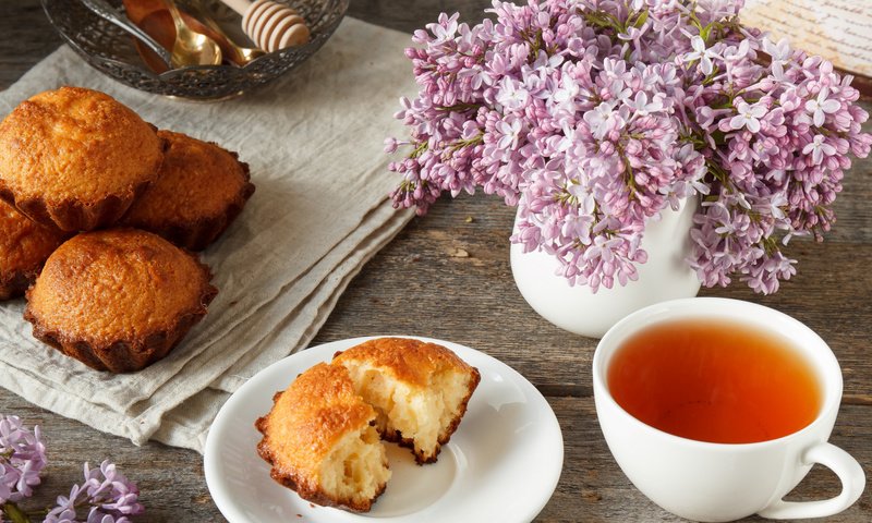 Обои дерево, фон, весна, чай, сирень, кекс, tree, background, spring, tea, lilac, cupcake разрешение 2112x1188 Загрузить