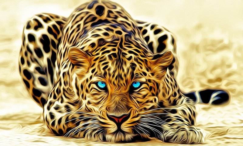 Обои лежит, леопард, голубые глаза, окрас, lies, leopard, blue eyes, color разрешение 1920x1080 Загрузить